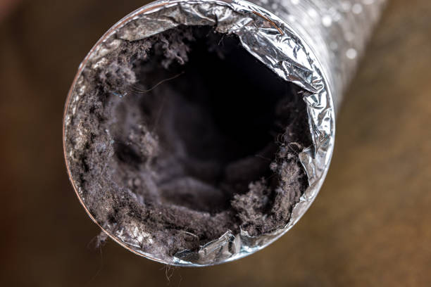 Best Home Air Vent Cleaning  in Thatcher, AZ